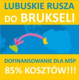 Misja gospodarcza do Belgii i Luksemburga. Zgłoś się już dzisiaj!