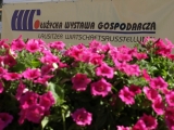 powiększ powiększ