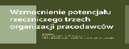 Wzmocnienie potencjału rzeczniczego trzech organizacji pracodawców.